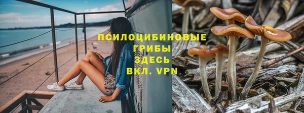 крисы Бронницы
