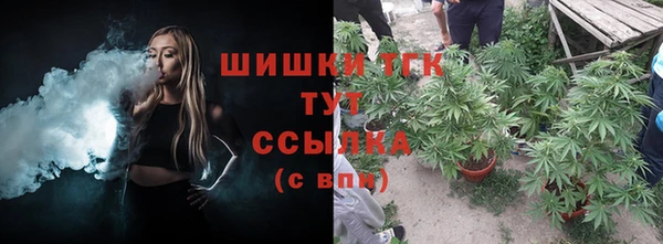 mdma Бородино