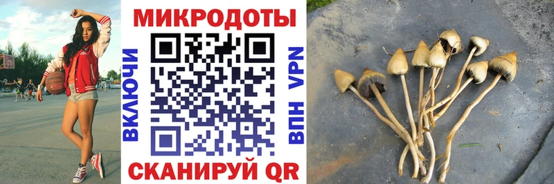 наркота Среднеуральск Псилоцибиновые грибы MAGIC MUSHROOMS